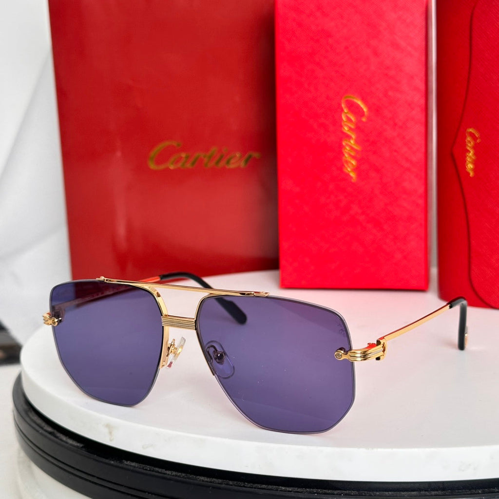 CARTIER PREMIÈRE NAVIGATOR FRAME SUNGLASSES CT6011S IN METAL