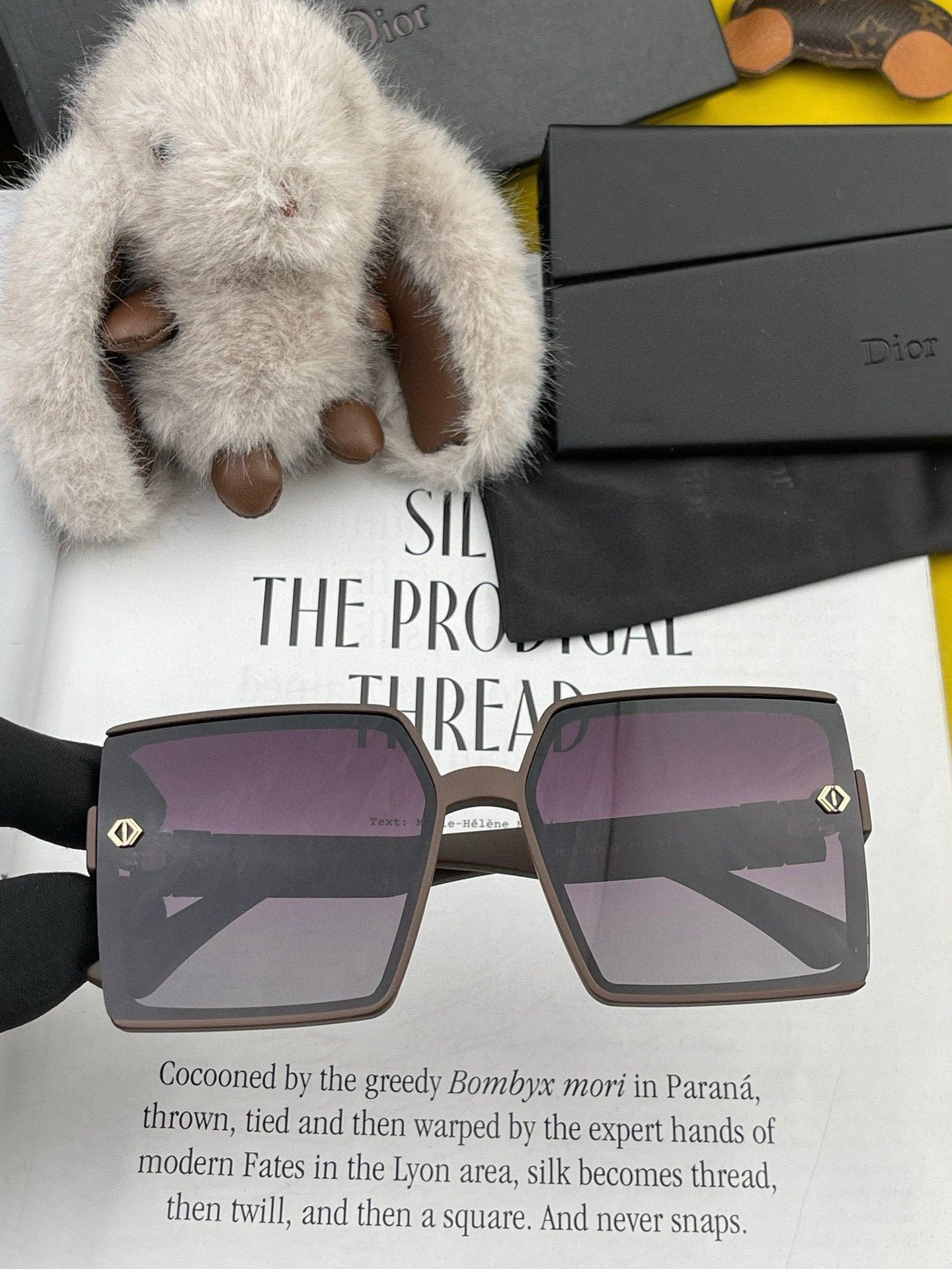 DIOR MONTAIGNE SUNGLASSES CD9781 IN ACETATE