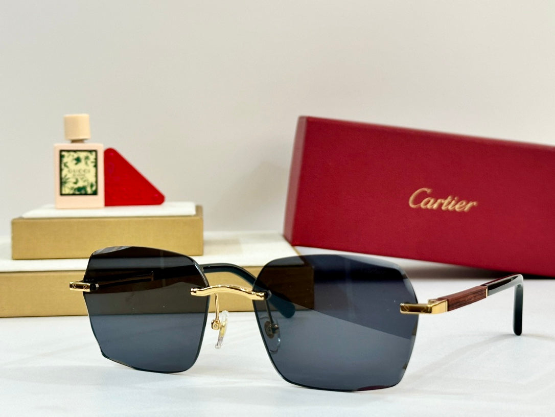 CARTIER SANTOS SQUARE FRAME SUNGLASSES 530303 IN METAL