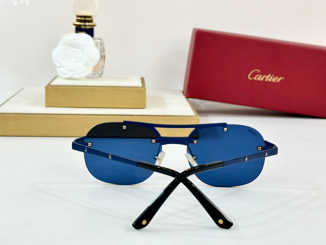 CARTIER SANTOS ROUND FRAME SUNGLASSES CT00676 IN METAL