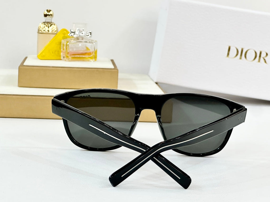 DIOR MONTAIGNE SUNGLASSES FLAG2 IN ACETATE