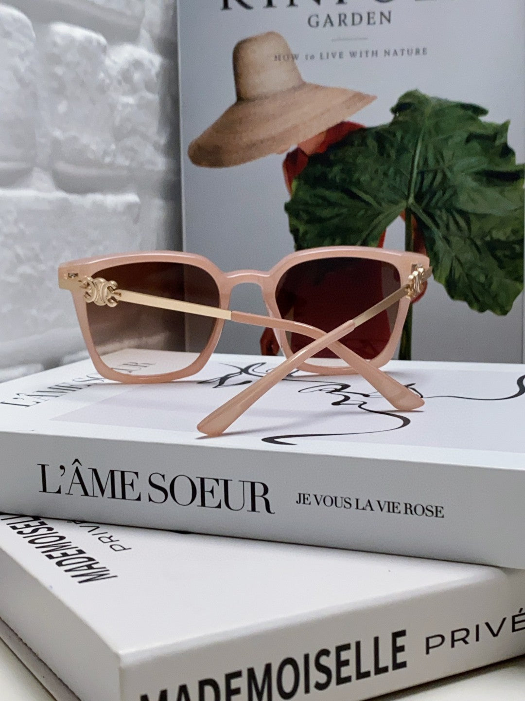 CELINE TRIOMPHE SUNGLASSES 497815 IN PINK CLEAR METAL