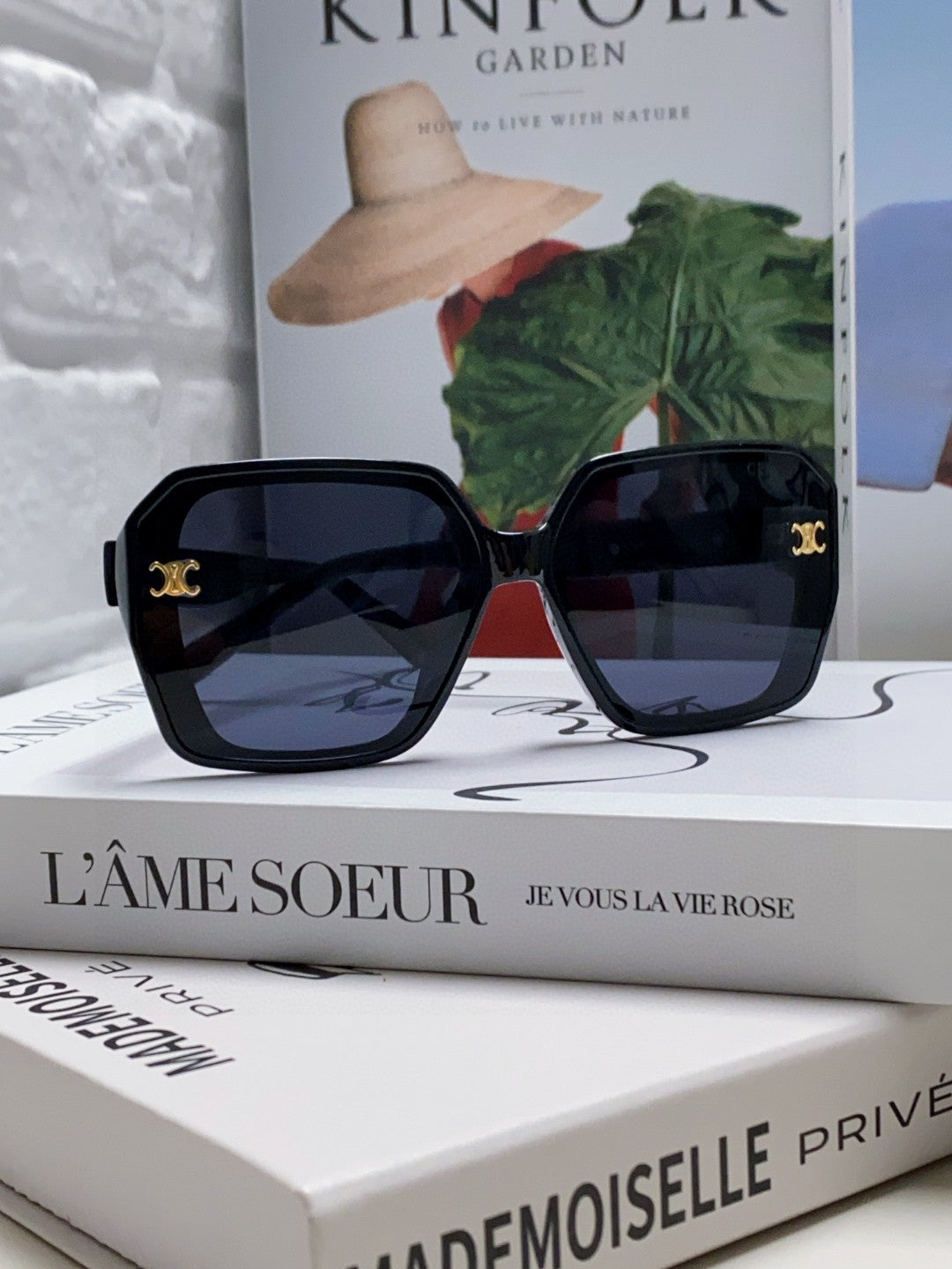CELINE TRIOMPHE SUNGLASSES 548595 IN BLACK ACETATE