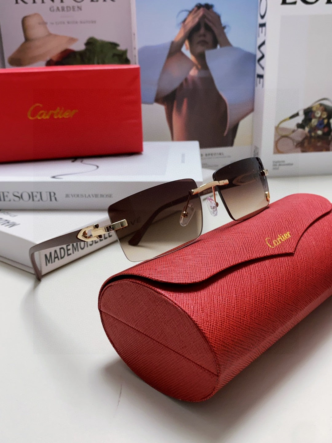 CARTIER RECTANGULAR FRAME SUNGLASSES 555890 IN METAL AND ACETATE