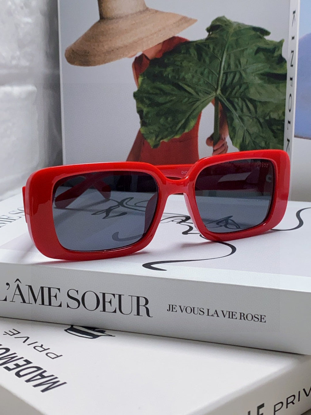 DIOR MONTAIGNE SUNGLASSES 571592 IN RED ACETATE TEXT LOGO